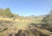 Casa con terreno en venta en la España, Cirauqui, ref: TR406415 foto