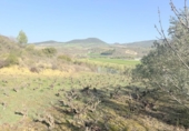 Casa con terreno en venta en la España, Cirauqui, ref: TR406415 foto