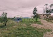 Detached villa with land for sale on España, Lorca, ref: TR405144 photo