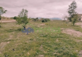 Detached villa with land for sale on España, Lorca, ref: TR405144 photo