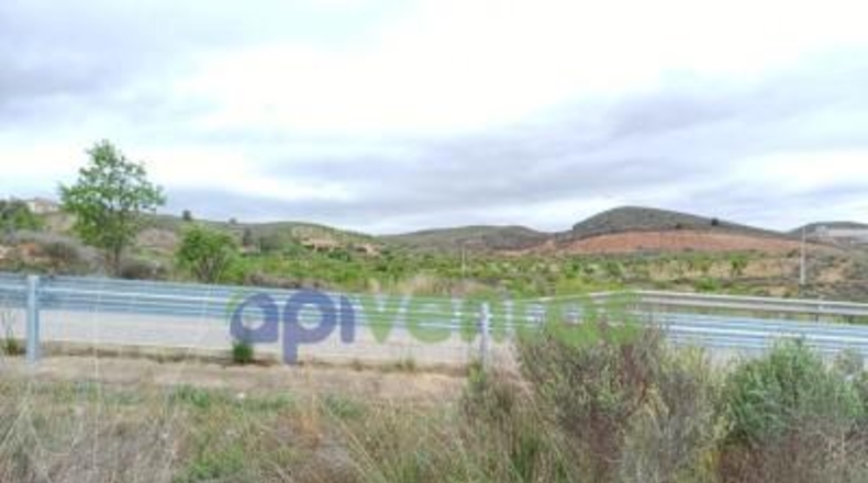 Мурсия - Lorca - 223000m2