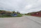 Detached villa with land for sale on España, Lorca, ref: TR405144 photo