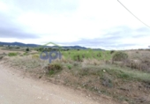 Detached villa with land for sale on España, Lorca, ref: TR405144 photo