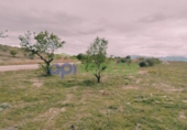 Detached villa with land for sale on España, Lorca, ref: TR405144 photo