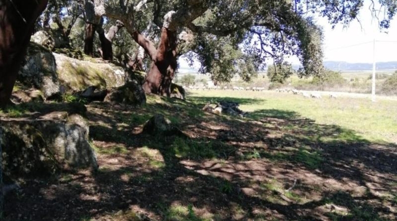 Badajoz - San Vicente de Alcántara - 30000m2