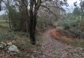 Terreno no urbanizable en venta en la España, Miengo, ref: TR372496 foto