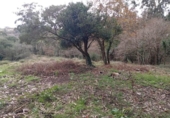 Terreno no urbanizable en venta en la España, Miengo, ref: TR372496 foto