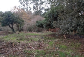 Miengo 6014&nbsp;m²