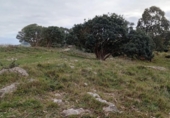 Terreno no urbanizable en venta en la España, Miengo, ref: TR372496 foto