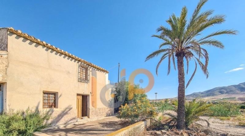 Almería - Huércal-Overa - 30000m2