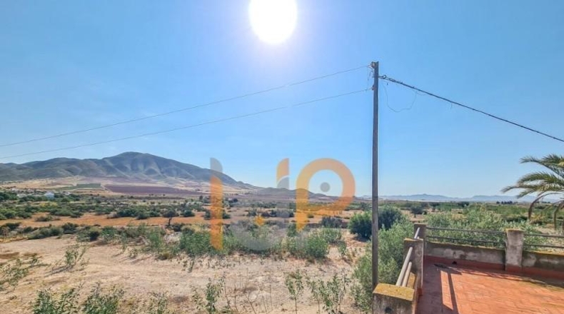 Almería - Huércal-Overa - 30000m2