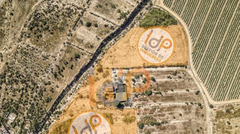 Almería - Huércal-Overa - 30000m2