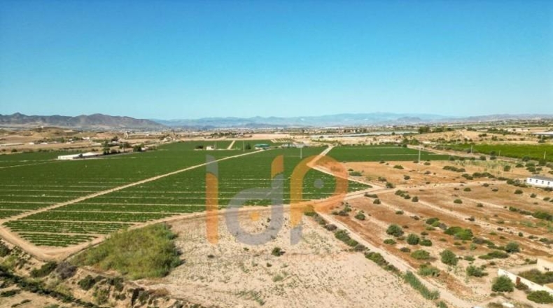 Almería - Huércal-Overa - 30000m2