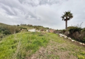 Terreno no urbanizable en venta en la España, Campo-Mijas, ref: TR402509 foto