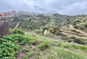 Campo-Mijas 8645&nbsp;m²