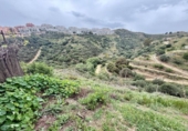 Terreno no urbanizable en venta en la España, Campo-Mijas, ref: TR402509 foto