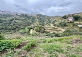 Terreno no urbanizable en venta en la España, Campo-Mijas, ref: TR402509 foto