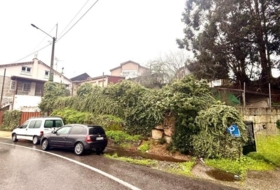 Ourense 600&nbsp;m²