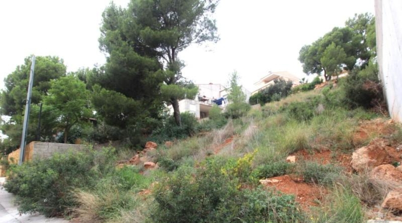 València - Náquera - 750m2