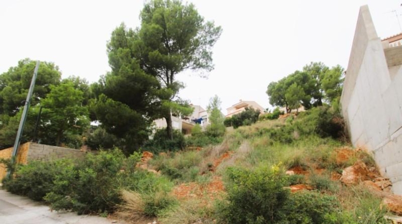 València - Náquera - 750m2