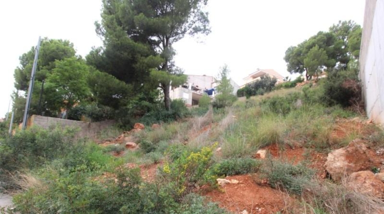 València - Náquera - 750m2
