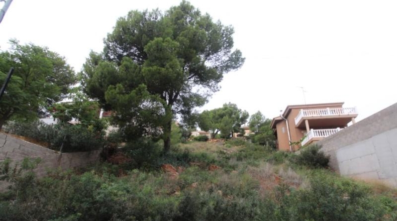 València - Náquera - 750m2