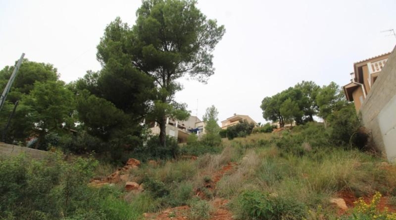 València - Náquera - 750m2