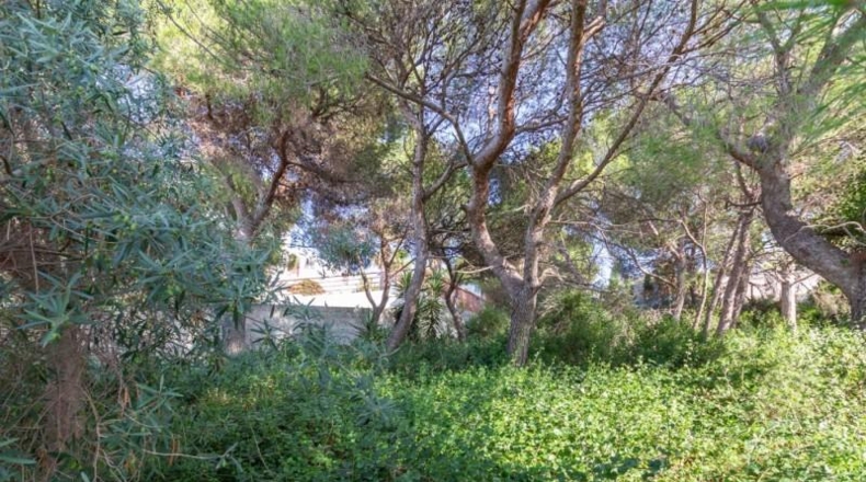 València - Cullera - 784m2
