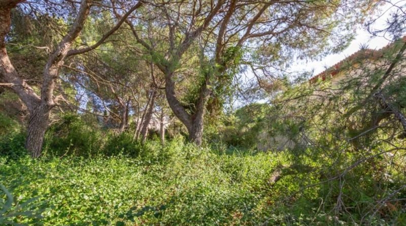 València - Cullera - 784m2