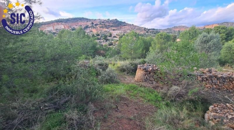 Castellón - Borriol - 13042m2