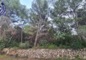 Chalet independiente con terreno en venta en la España, Borriol, ref: TR368842 foto