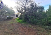 Chalet independiente con terreno en venta en la España, Borriol, ref: TR368842 foto