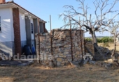 Detached villa with land for sale on España, Buenavista, ref: TR362653 photo
