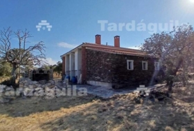 Buenavista 1279&nbsp;m²