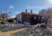 Detached villa with land for sale on España, Buenavista, ref: TR362653 photo