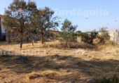 Detached villa with land for sale on España, Buenavista, ref: TR362653 photo