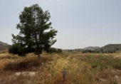 Casa de campo con terreno en venta en la España, Lorca, ref: TR328197 foto