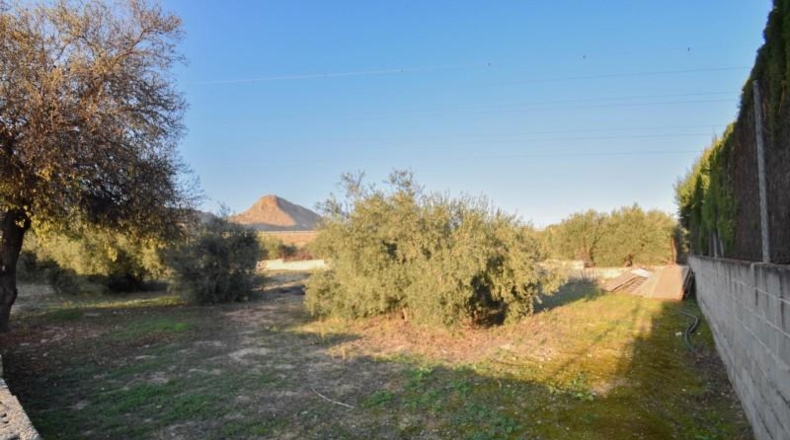 Granada - Atarfe - 874m2