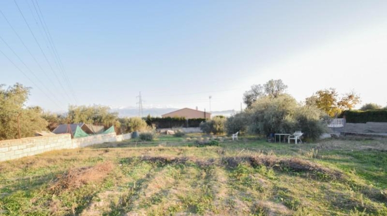 Granada - Atarfe - 874m2
