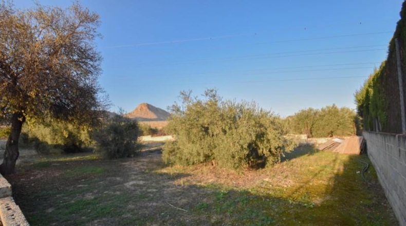 Granada - Atarfe - 874m2