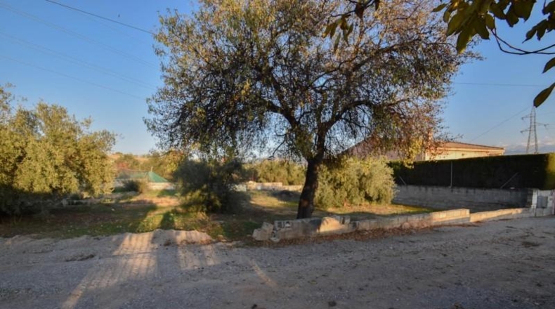 Granada - Atarfe - 874m2
