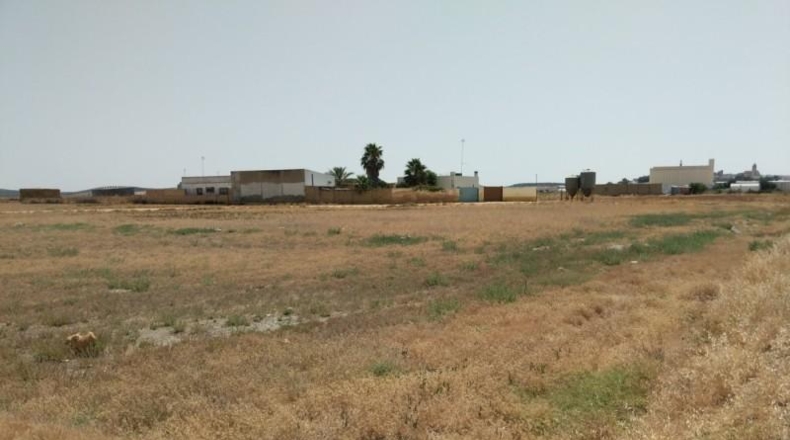 Sevilla - Marchena - 34100m2
