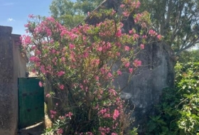 Foto 11