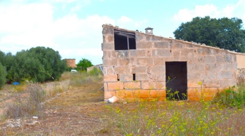 Балеарские острова - Muro - 10569m2