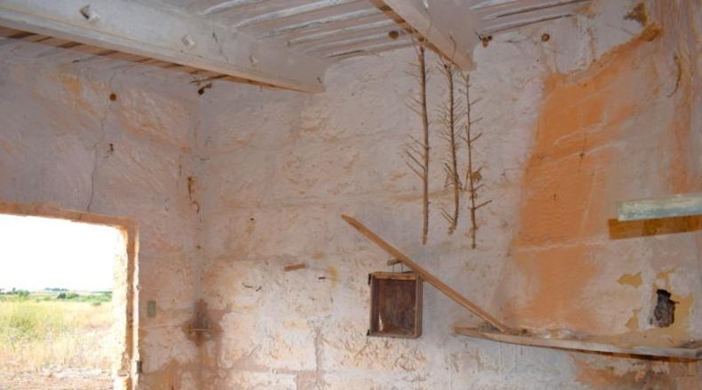 Балеарские острова - Muro - 10569m2