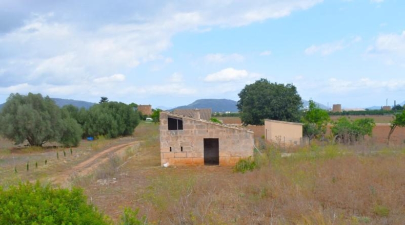 Балеарские острова - Muro - 10569m2