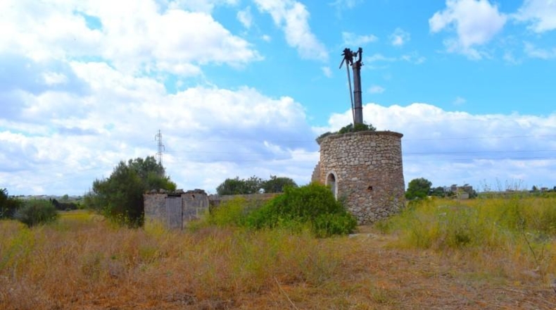 Балеарские острова - Muro - 10569m2