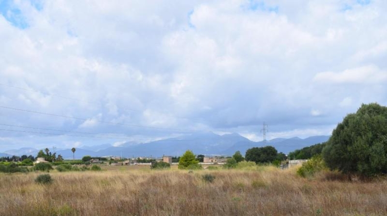 Балеарские острова - Muro - 10569m2