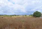 Terreno no urbanizable en venta en la España, Muro, ref: TR317420 foto