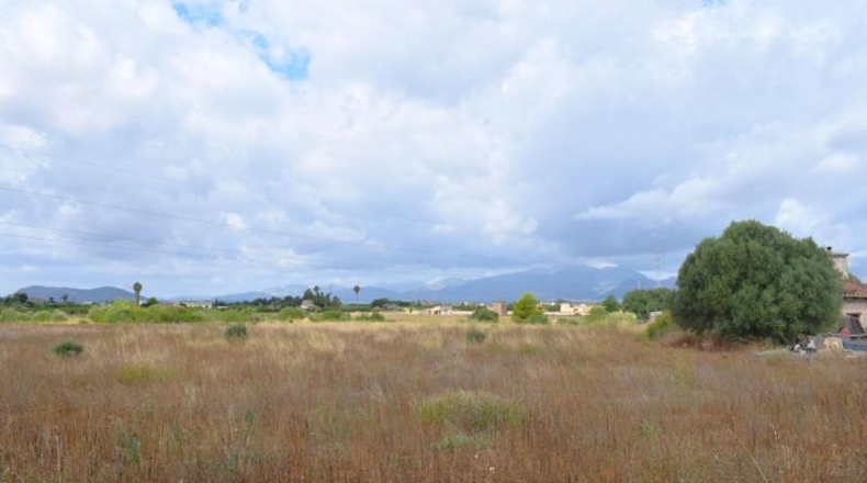 Балеарские острова - Muro - 10569m2